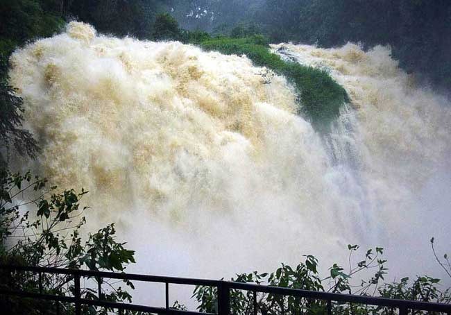 Coorg Abbey Falls Tour packages From Coimbatore