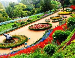 Botanical Garden Tour Pacakages From Coimbatore