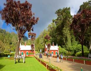Ooty Botanical Garden Tour Pacakages From Coimbatore