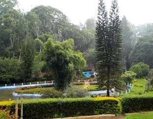 Ooty Tour Packages from Coimbatore