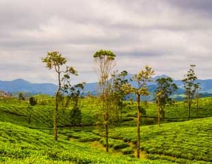 Valparai Tour Package