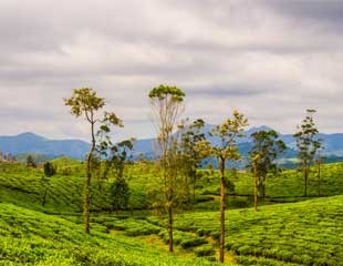 Valparai Tour Packages from Coimbatore