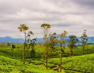 Valparai Tour Pacakages From Coimbatore