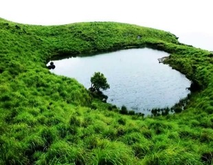 Wayanad Sightseeing Places Tour Pacakages From Coimbatore
